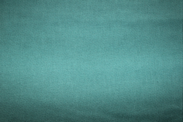 Designerbaumwollstoff Dutch Heritage Pindot petrol (10 cm)